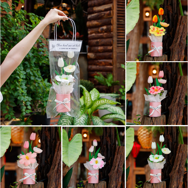 Set Chậu Hoa Tulip Mix H02 Kèm Túi Đèn Làm Quà Tặng Valentine, Quà Tặng 8/3, Quà Sinh Nhật, Dịp Lễ