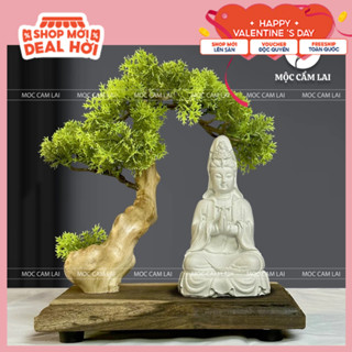 Bộ Tiểu Cảnh Bonsai Mini Đế Gỗ Đặt Tượng - Tiểu Cảnh Trang Trí Phòng Khách Bàn Làm Việc