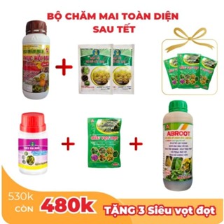Bộ Chăm Mai Toàn Diện Sau Tết, giúp Cây mai phục hồi, nhanh phát, mau lớn