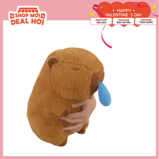 Nên mua gấu bông capybara chảy nước mũi 35cm-45cm