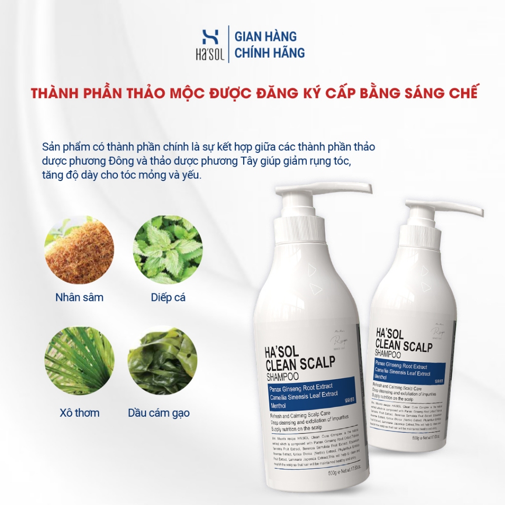 Dầu Gội HASOL Hỗ Trợ Giảm Gàu Nấm Ngứa, Phù Hợp Cho Da Đầu Nhiều Dầu, Tóc Mỏng Và Yếu HA'SOL Clean Scalp Shampoo 500g | BigBuy360 - bigbuy360.vn