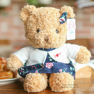 Gấu bông Teddy Hug Me