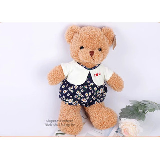 Gấu bông Teddy Hug Me