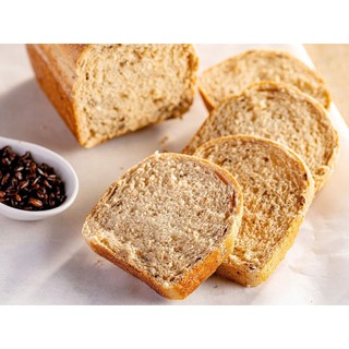 Hạt lúa mạch nảy mầm ngâm Sourdough 1kg