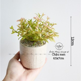 Cây giả,Sen đá giả kèm chậu sứ vân cát