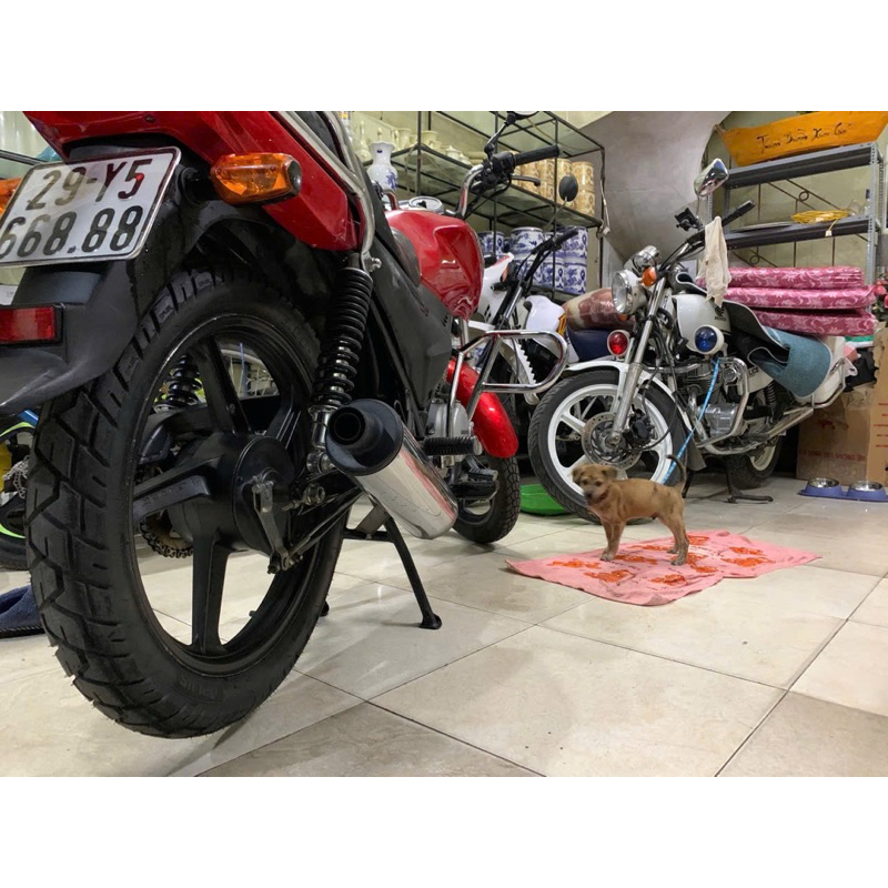 Cặp ( Vỏ) lốp không cần dùng săm cho Suen, PL150 3.00-18  và 2.75-18