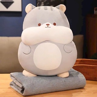 Chăn gối văn phòng tiện lợi - Chăn văn phòng
