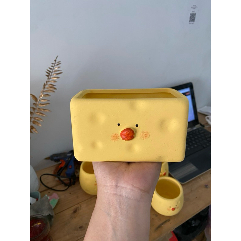 CHẬU NUNG VỊT MINI