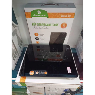 Bếp từ đơn Elmich Smartcook ICS-3869