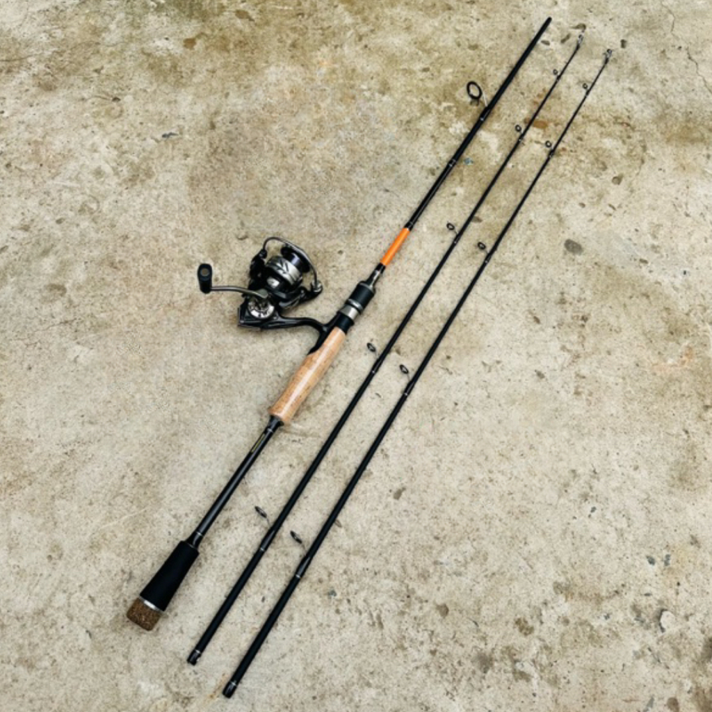 Cần Câu Lure 2 Ngọn Eagle Super