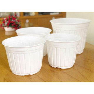 Combo 5-10 Chậu nhựa trồng cây - ươm cây (có 8size: 10.5-12-15-18-23-26-30-35cm)