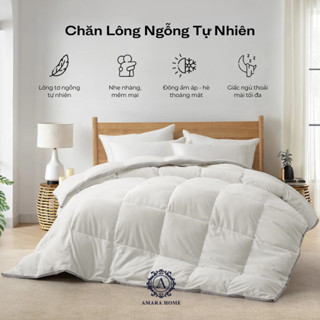 Ruột Chăn Lông Ngỗng Tự Nhiên AMARA - Siêu Nhẹ Siêu Ấm, Mềm Mại, Vải Bọc Cotton 2 Lớp Chống Bay Lông