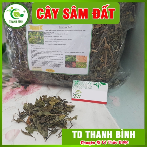 Cây Sâm Đất 1Kg - Thuốc Quý Quen Thuộc