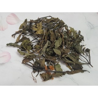 Cây Sâm Đất 1Kg - Thuốc Quý Quen Thuộc