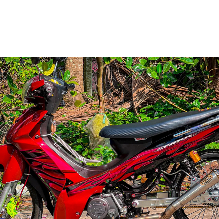 TEM ELEGANT SYM LỬA 50