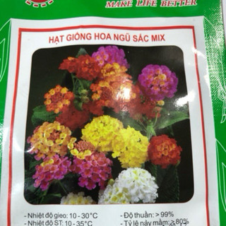 HẠT GIỐNG HOA NGŨ SẮC MIX