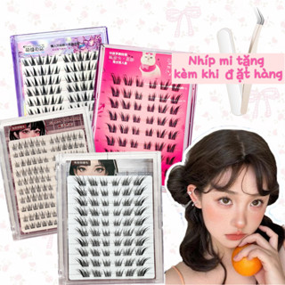 [📦iao hàng nhanh từ Hà Nội]10 Hàng Lông Mi giả hướng dương tự dính không cần dùng keo dành cho người mới bắt đầu