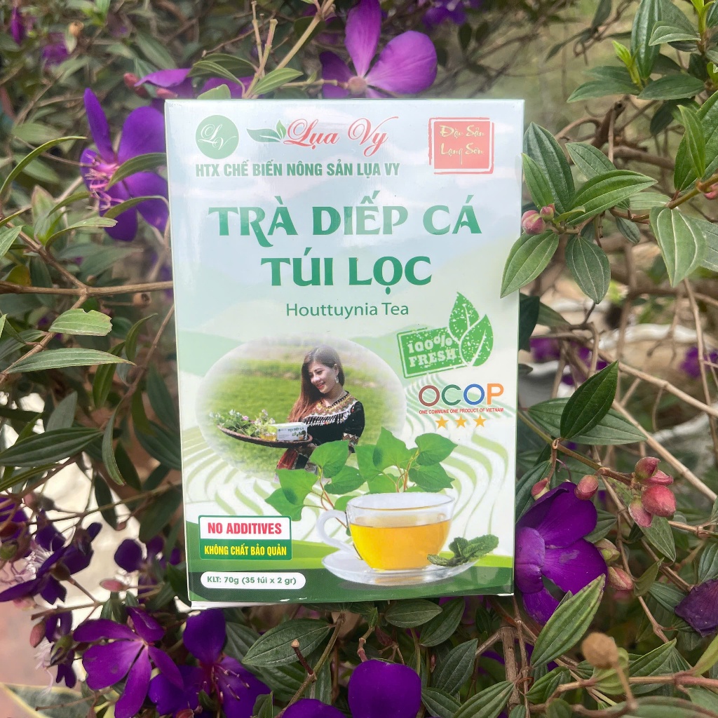 Trà Diếp Cá Thải Độc Detox, Giảm Mụn Lụa Vy ( Hộp 35 túi lọc)