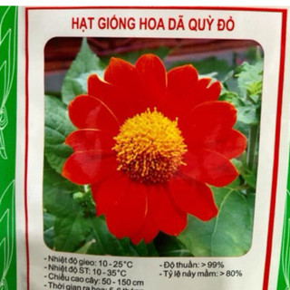 HẠT GIỐNG HOA DÃ QUỲ ĐỎ