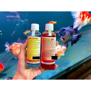  Combo Exter đỏ & Fast xanh cho cá vàng cầu vồng chép phi tần 