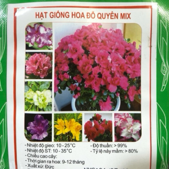HẠT GIỐNG HOA ĐỖ QUYÊN MIX (30hạt/gói)