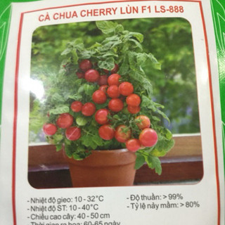 HẠT GIỐNG CÀ CHUA CHERRY LÙN F1