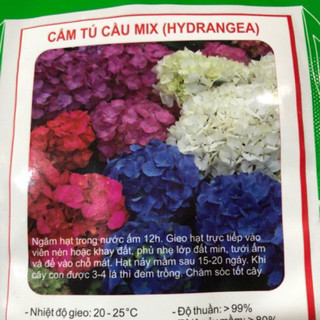 HẠT HOA CẨM TÚ CẦU MIX