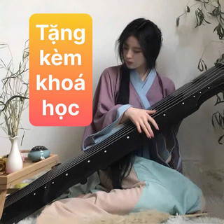 Đàn cổ cầm tặng kèm khoá học (có sẵn)