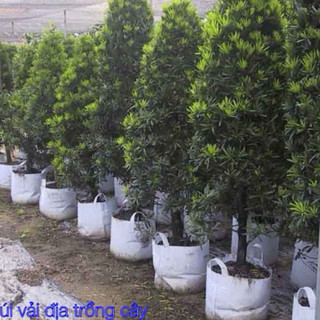 COMBO-5 TÚI VẢI ĐỊA TRỒNG CÂY (cỡ 35 x 30cm)