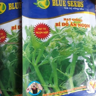 [MUA 5 TẶNG 1] Hạt giống Bí ăn ngọn siêu mập (gói 20g)