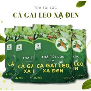 Trà cà gai leo XẠ ĐEN thải độc gan, thanh nhiệt bảo vệ gan 50 túi lọc (250g)