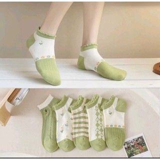 sỉ tất học sinh