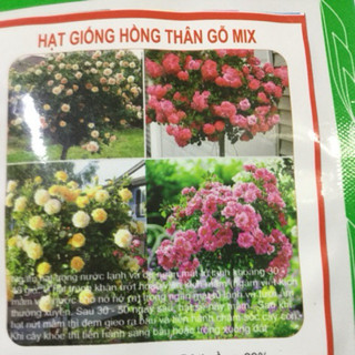 HẠT GIỐNG HỒNG THÂN GỖ MIX
