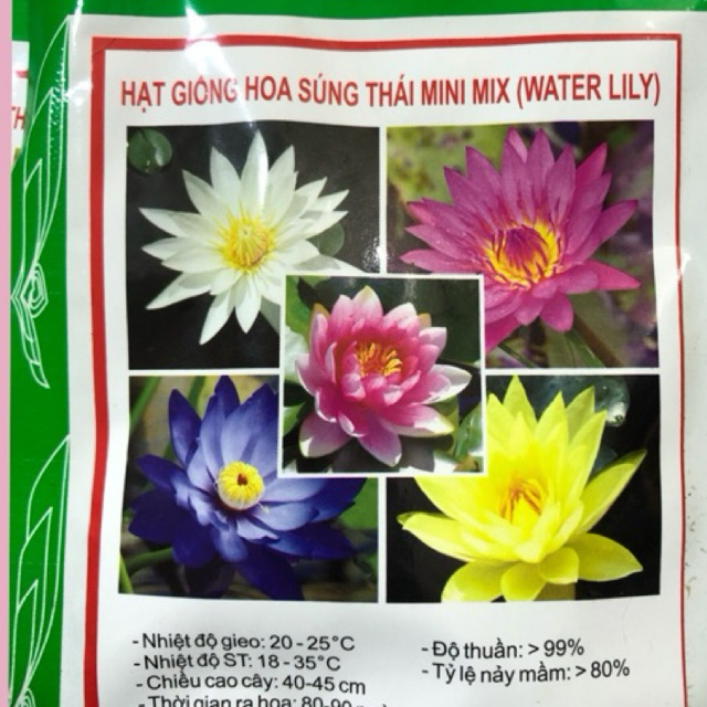 HẠT GIỐNG HOA SÚNG THÁI MINI MIX (WATER LILY)