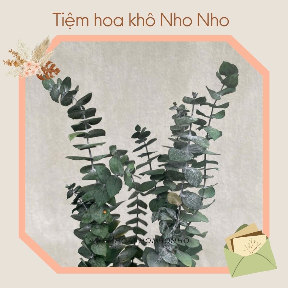 Cành lá táo sấy khô, lá khuynh diệp khô cắm hoa - Lá táo lá khuynh diệp, lá bạc khô trang trí TIỆM H