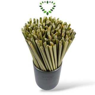 Combo 250 Ống Hút Cỏ Bàng Khô 1 Đầu Nhọn Greener - Rẻ, Tiện Lợi, Bền Vững & An Toàn