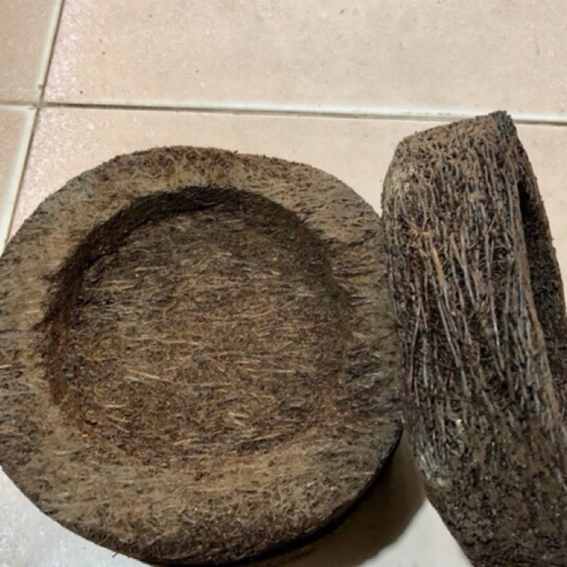 COMBO-5 CHẬU DỚN TRỒNG LAN (DỚN ĐĨA)