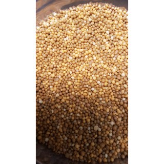 Phân vàng 16-16-16 TE tan chậm 1kg (Giá tốt)