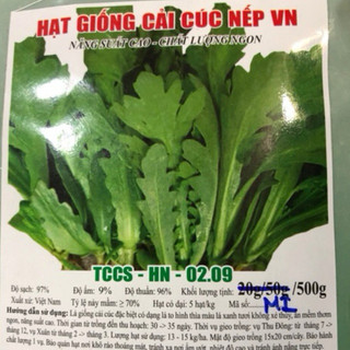 HẠT GIỐNG CẢI CÚC NẾP 500gr