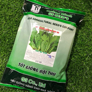 HẠT GIỐNG CẢI CÚC NẾP 500gr