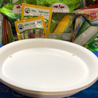 ĐĨA LÓT CHẬU CÂY CẢNH PHI 27 (2 cái)