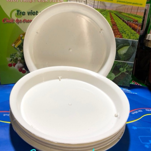 ĐĨA LÓT CHẬU CÂY CẢNH PHI 27 (2 cái)