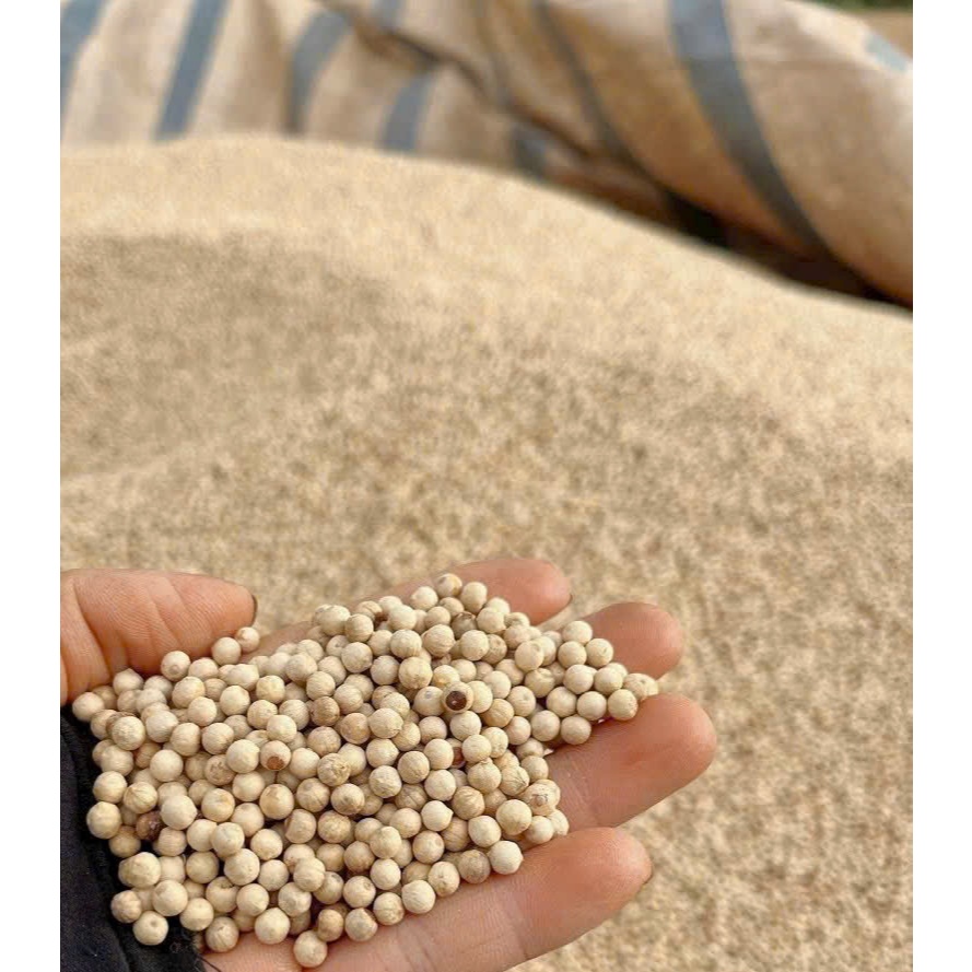 100g/500g Tiêu Sọ Hạt ( Tiêu Trắng )