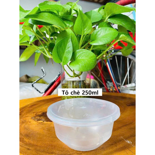 Set 100 thố chè 250ml có nắp - thố nhựa pp chịu nhiệt