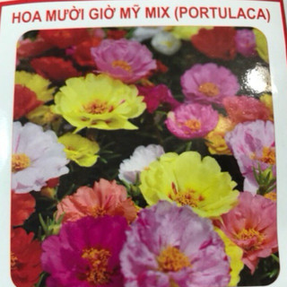HẠT HOA MƯỜI GIỜ MỸ MIX