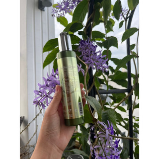 Xịt bưởi Grapefruit 220ml ngăn ngừa rụng tóc [Wego_Cosmectics]