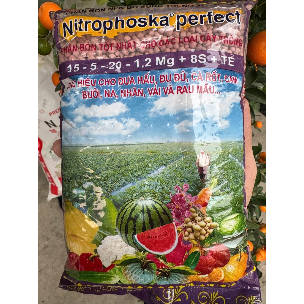 Phân bón Nitrophoska perfect (1kg) Phân NPK 15-5-20 + TE chuyên dùng cho hoa & cây ăn trái