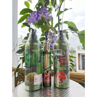 Xịt bưởi Grapefruit 220ml ngăn ngừa rụng tóc [Wego_Cosmectics]