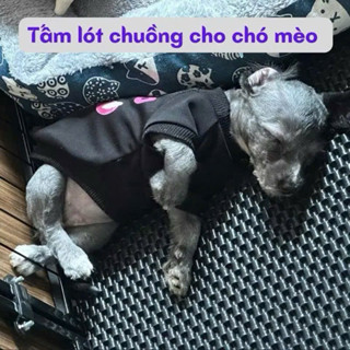  Thảm Hứng Cát Chó Mèo Cho Nhà Vệ Sinh Hứng Khay Chậu Cát Cho Chó Mèo 