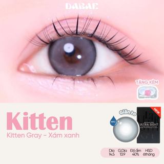 Lens giãn tròng DABAE mắt màu xám xanh kính áp tròng 6 tháng DIA 14.5mm độ 0-8 1 chiếc KITTEN GRAY